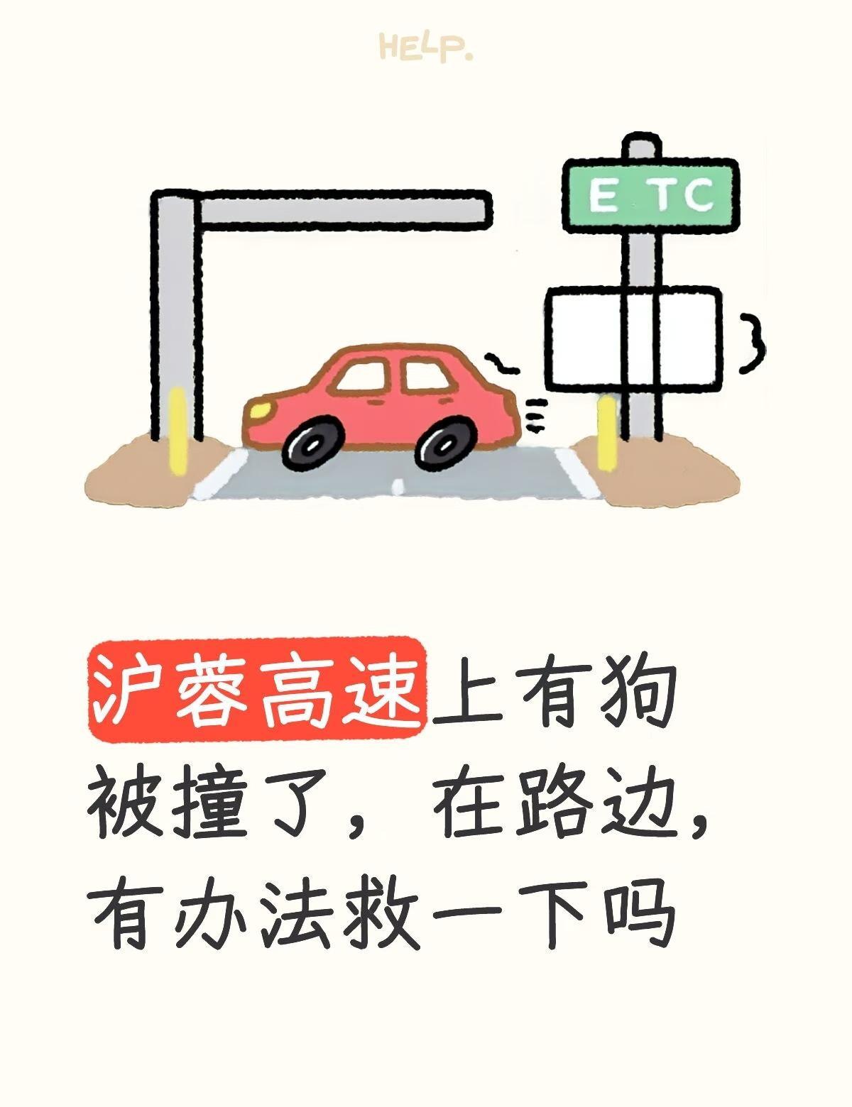 开车经过时看见的，没办法停没办法拍照，之前看过有几个高速上救助的帖子，主要是知道