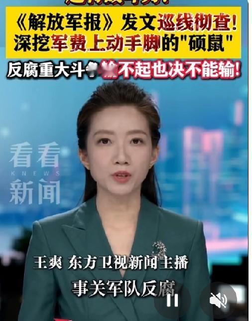 对在军费上动手脚的“硕鼠”，必须制定铁腕反腐，一经查处，判决终身监禁，立即枪毙，