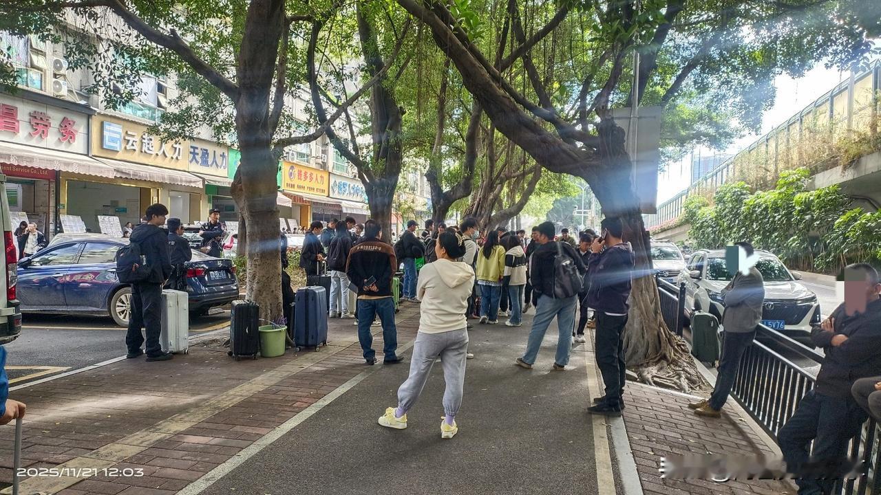 我不想再躺着了，赶紧出去找事做了，人太闲了反而倒觉得没劲。

今天去广州黄埔区东