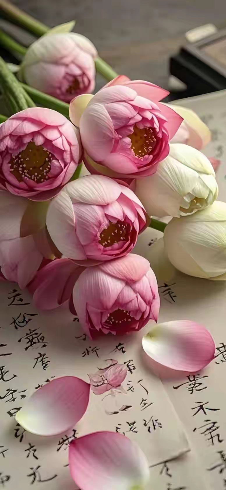 阳光信用做人，良心是底线，厚道是底牌。立身于世，守得住本心，才能行稳致远。凡事心