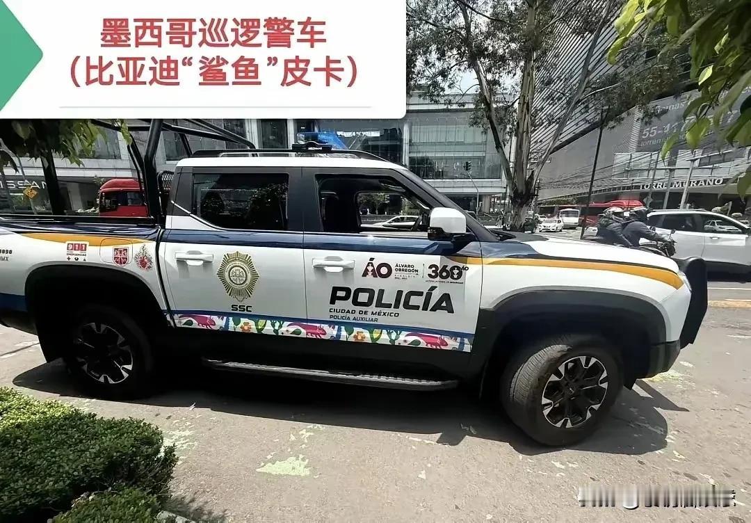 偷车贼估计也是没想到吧！😂
近日，墨西哥有一小偷偷走了一辆比亚迪宋Plus。但