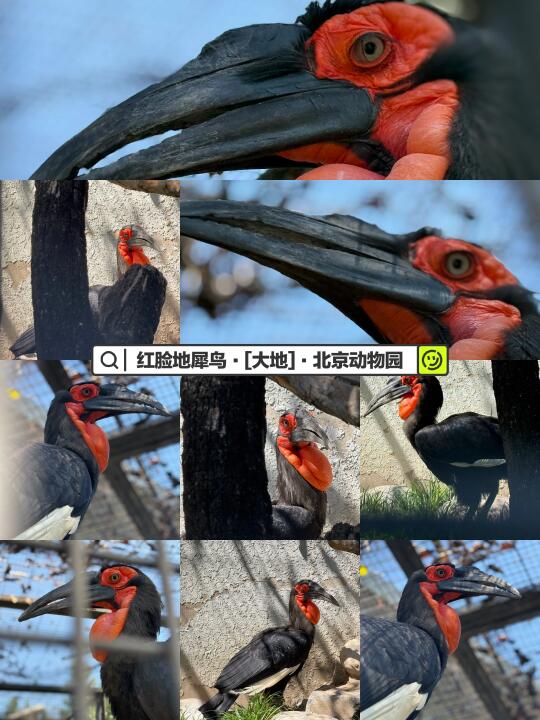 帅地，美到犯规！😍😍