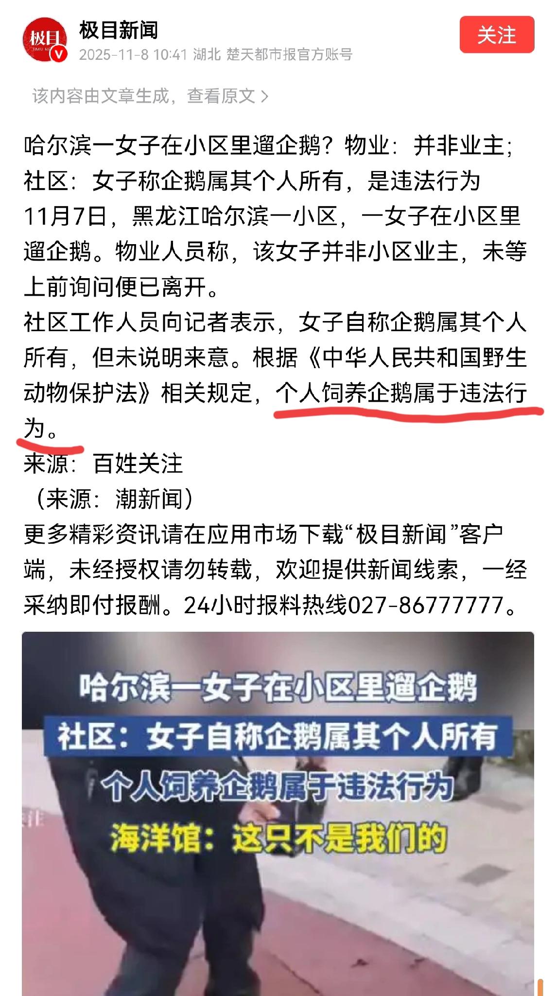 听说过遛狗，遛猫，遛鸟的，你听说过遛企鹅的吗？

日前哈尔滨一小区内有一名女子在