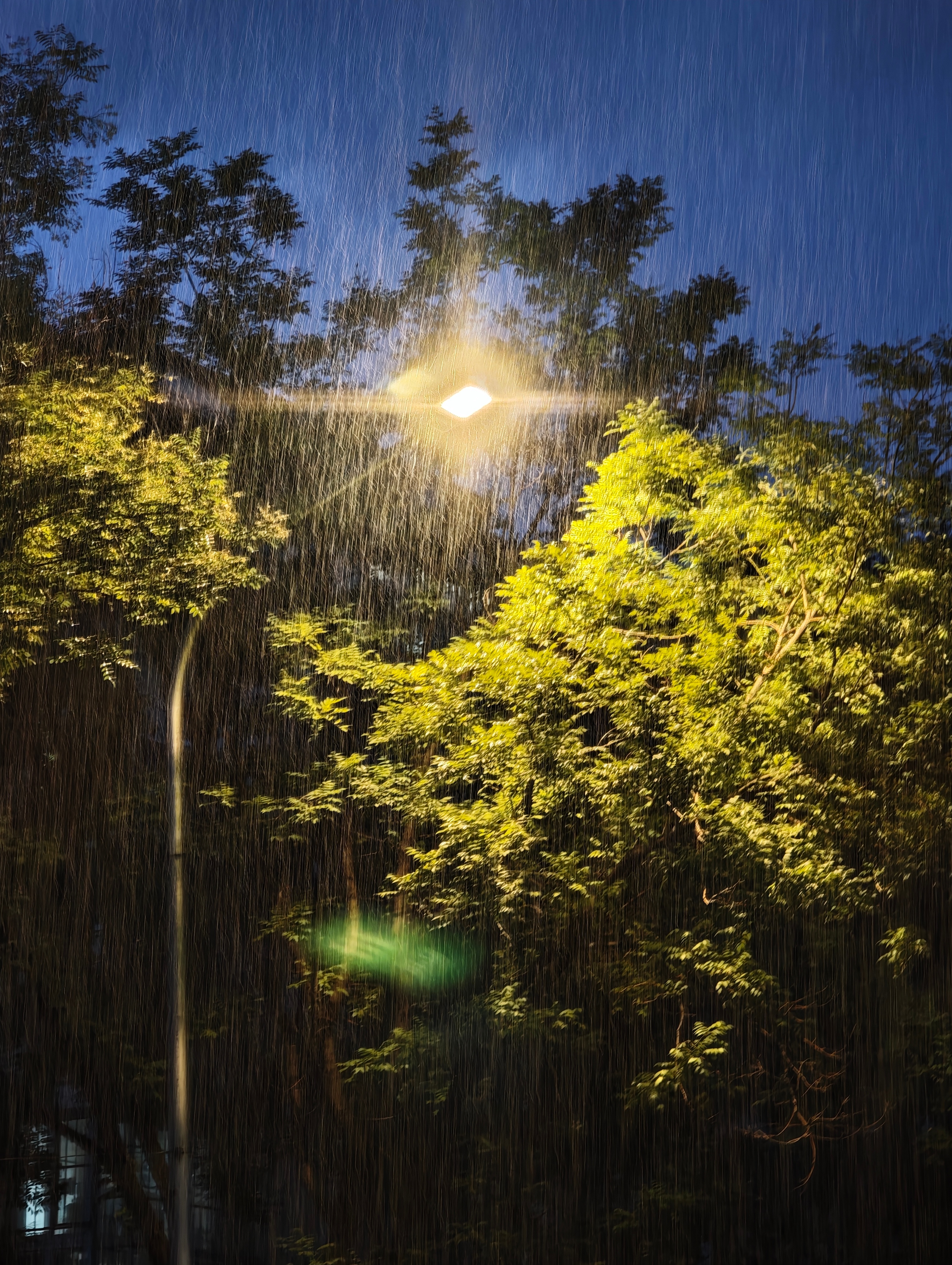 昨晚还是大雨🌧，今天就是多云🌥！夏天就要嗨起来