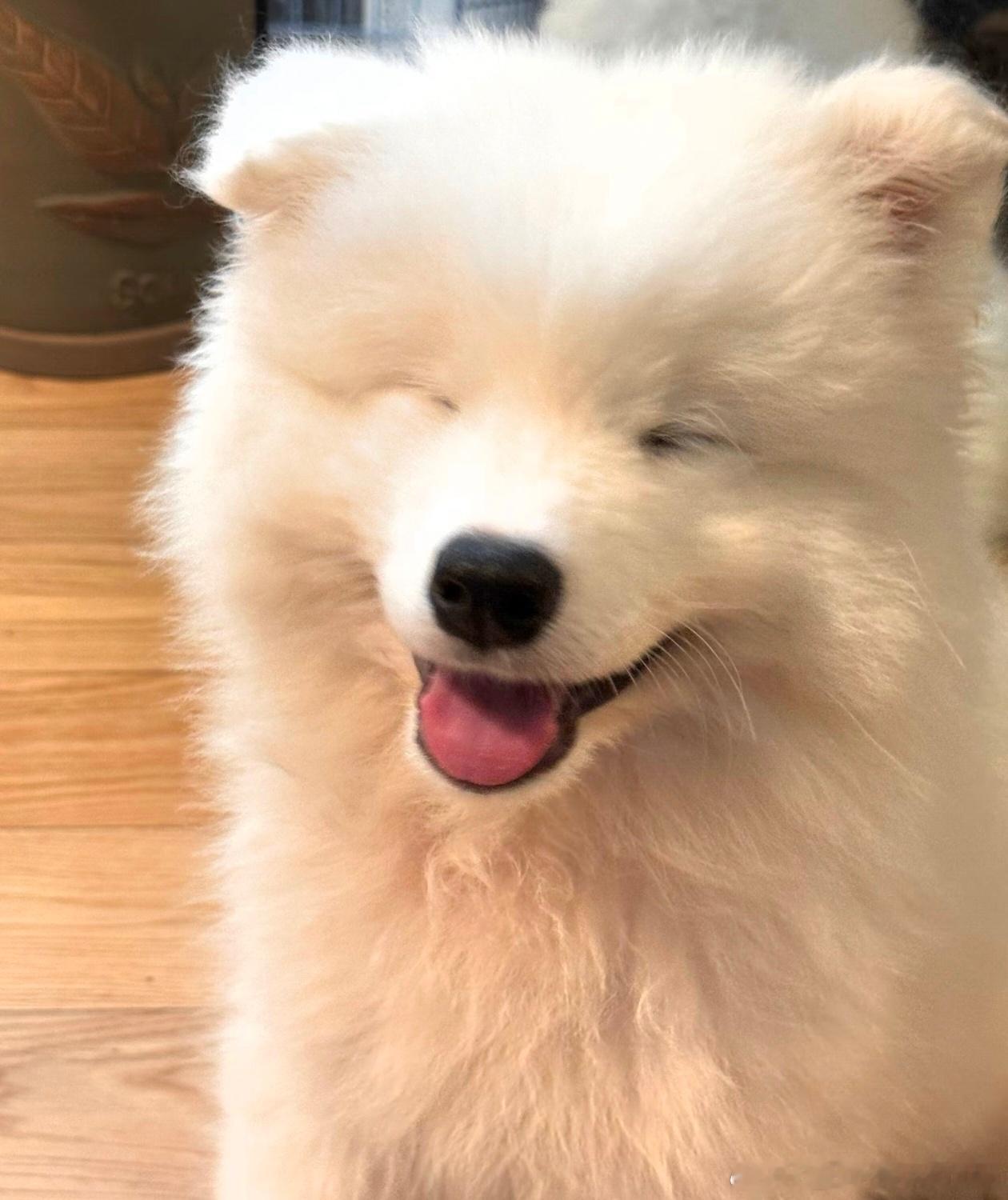 好萌的宝宝 