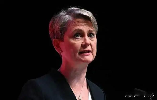 黎智英被定罪，英国彻底急了。 

12月15日，英国外交发展大臣库珀发表声明，公