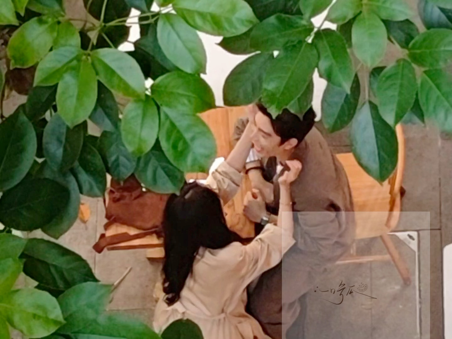 兮兮本体来咯 ​​​