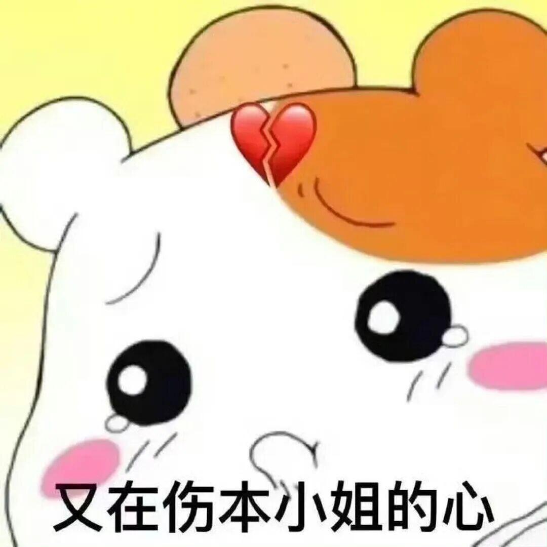 萌物 表情包 可爱卡哇伊 