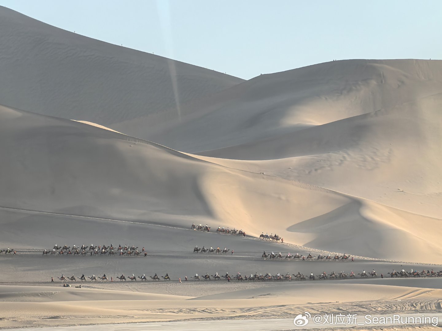 下班的驼队🐪🐪🐪 敦煌·鸣沙山月牙泉