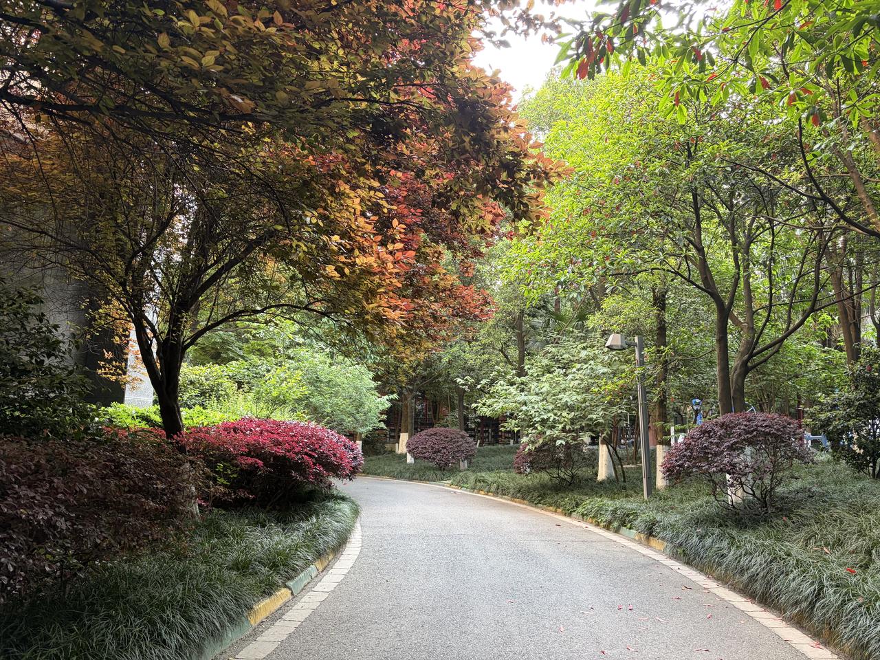 康复日记：春日晨练里的小进步

2026年4月24日 星期五 晴、微凉

清晨的