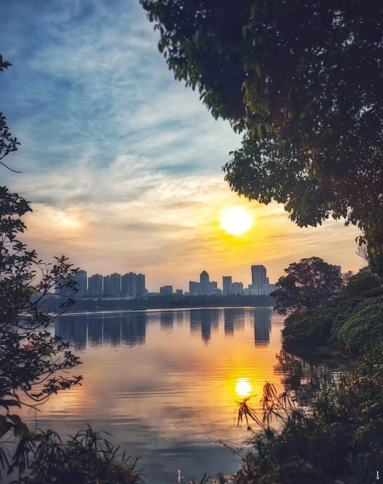 晨光入画，草木含香🌿清晨的云南昆明安宁里，藏着最蓬勃的生机。 