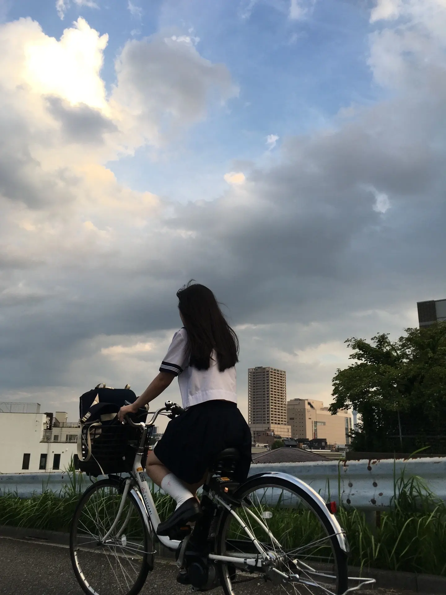 永远会有下一个夏天 你我都不必沮丧