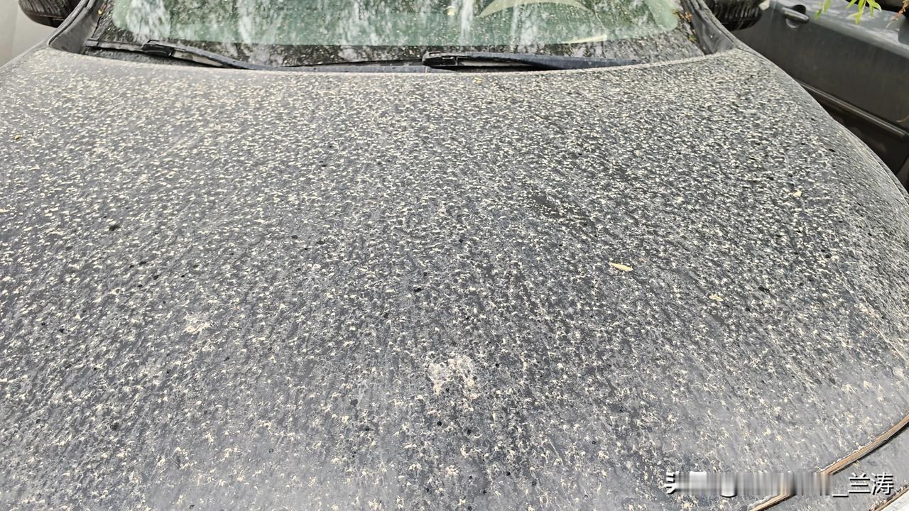 邢台最近的雨水真令人头疼。刚刚还是晴空万里，转眼就乌云密布，豆大的雨点倾盆而下。