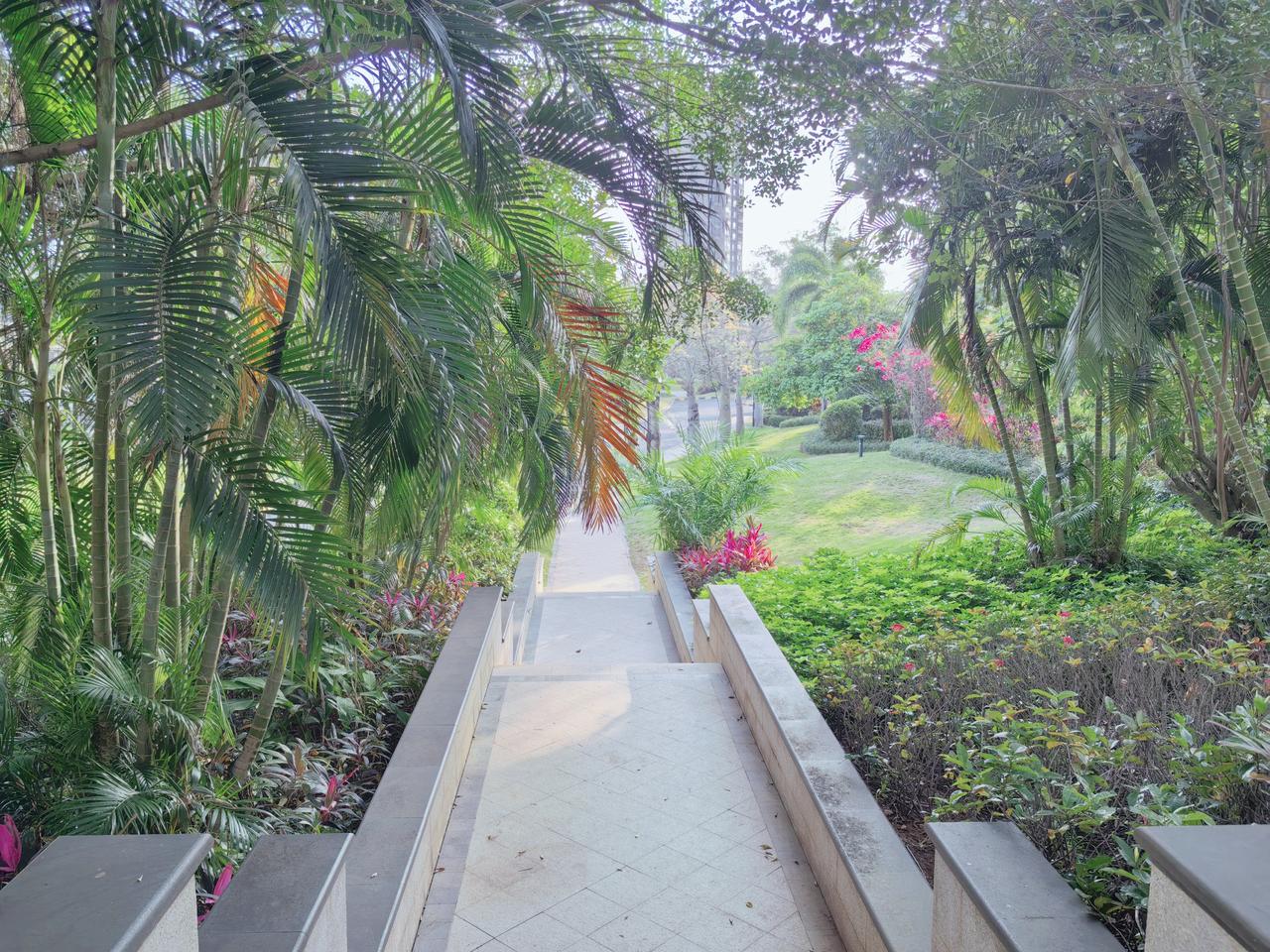 春日生活打卡季三亚美景