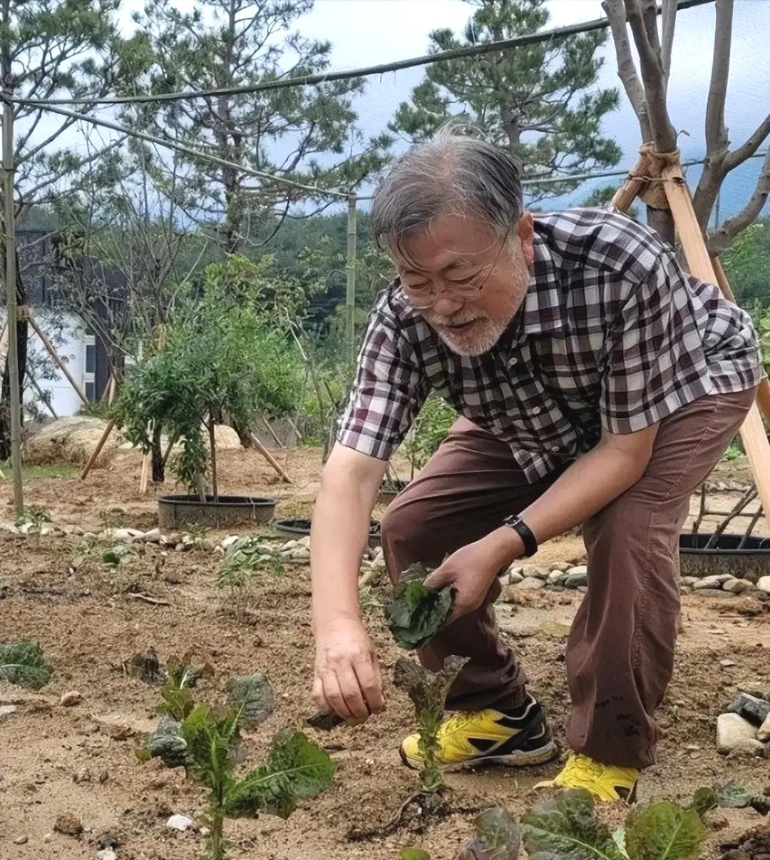 文在寅是韩国总统里面最成功的。

不是说文在寅当总统时有多么大的政绩，虽然有，但