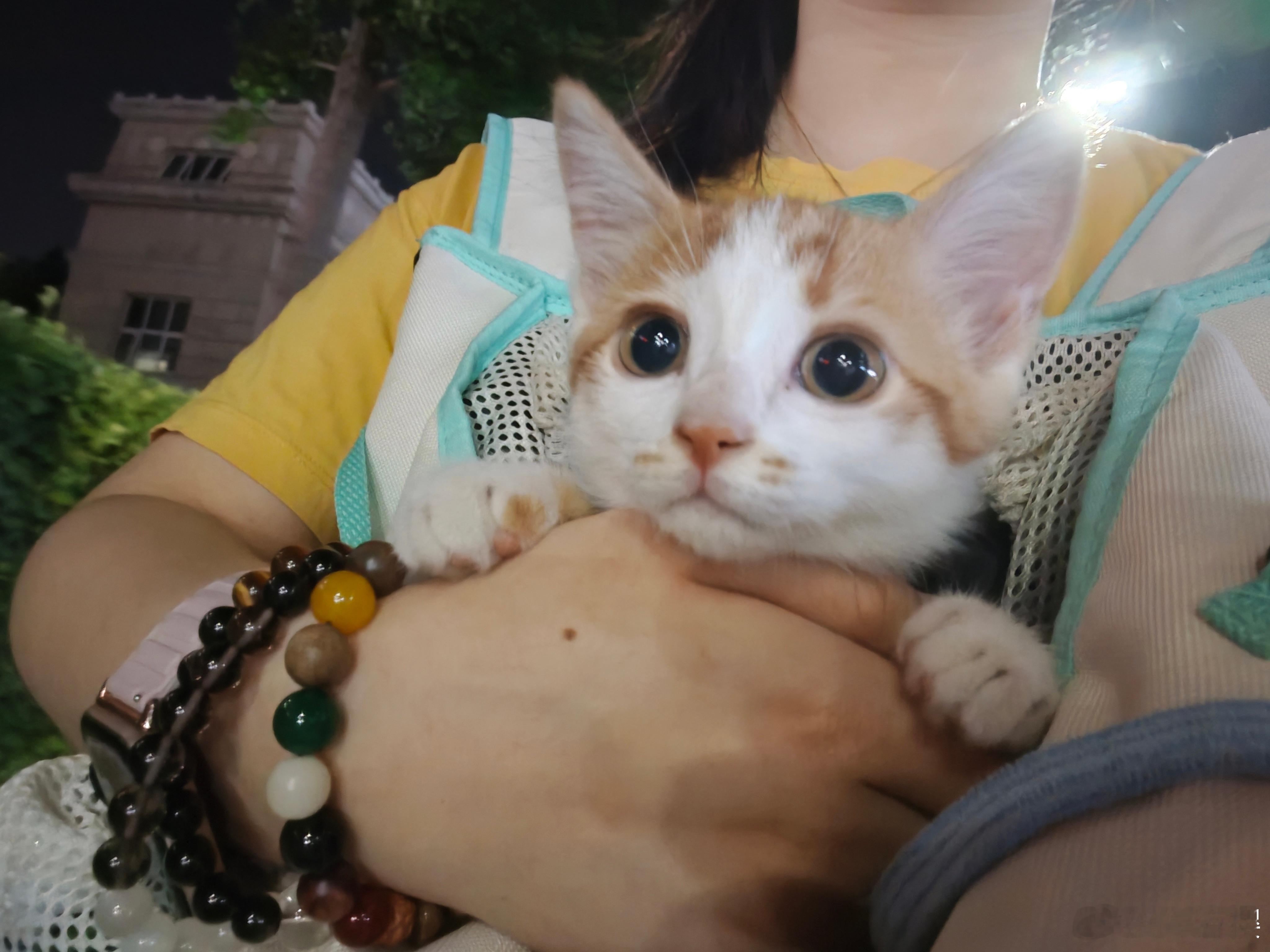 CV洛樱[超话] 日子有点苦，那就吃点甜甜的吧 ​​​