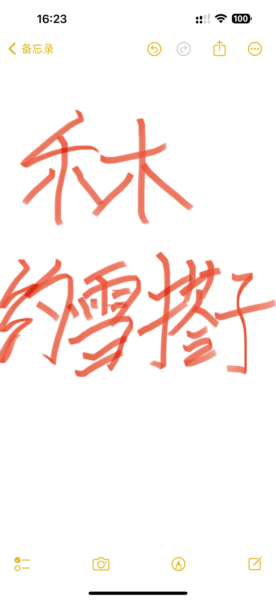 求禾木滑雪搭子/日子你定随时出发