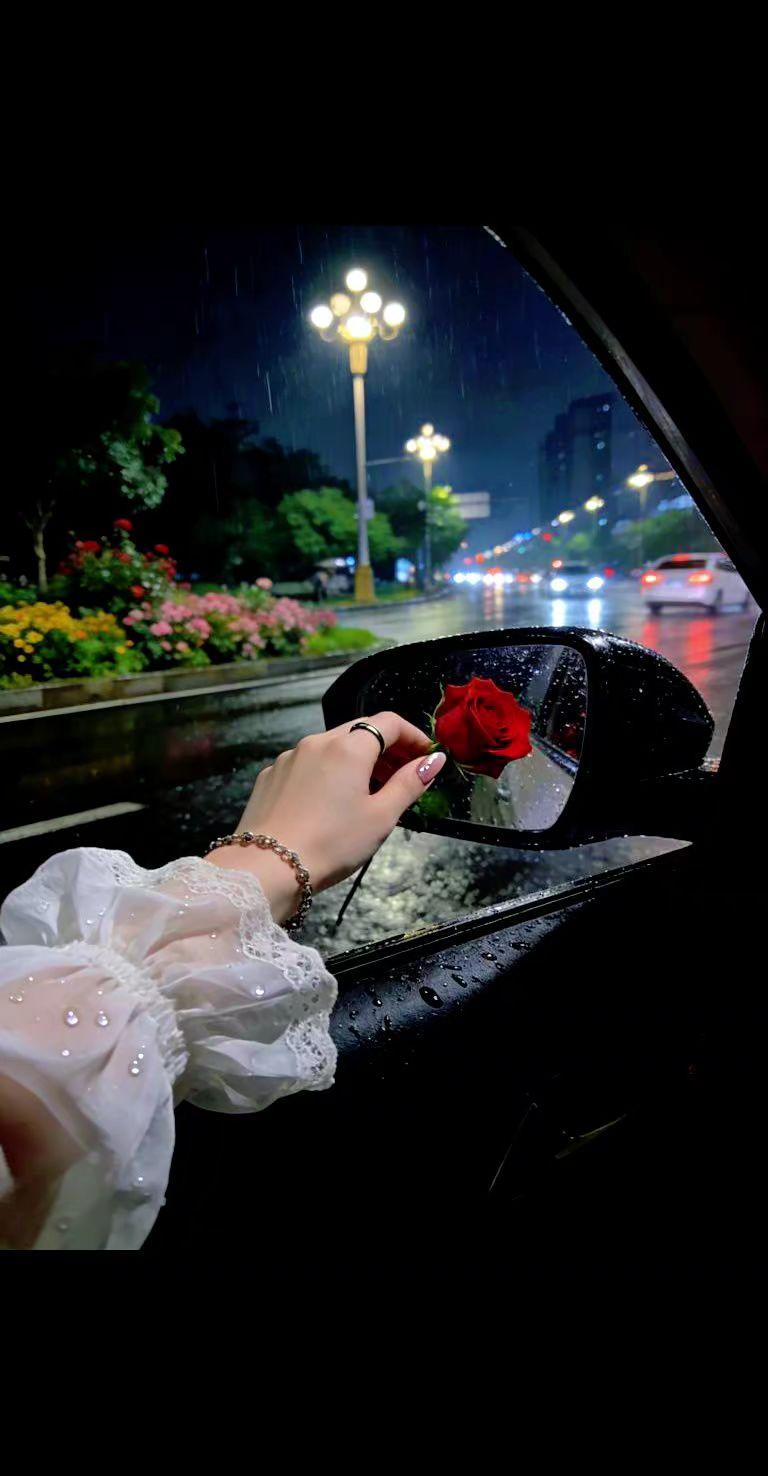 浪漫的一朵花 拍车 街景