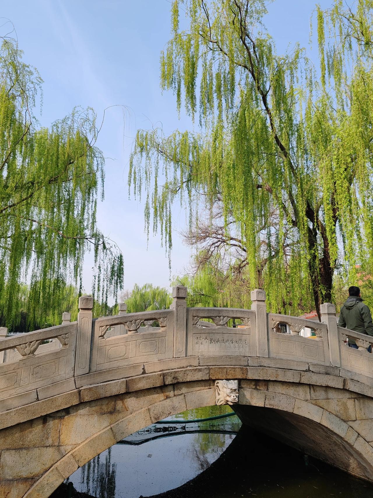 春日生活打卡季四月天随手拍。