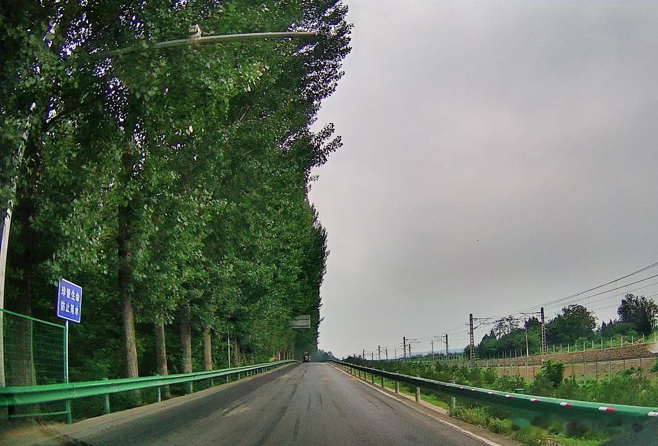 陇海铁路🛤️西安到宝鸡段

2000年的时候在这里每天都可以

遇到攀枝花至北