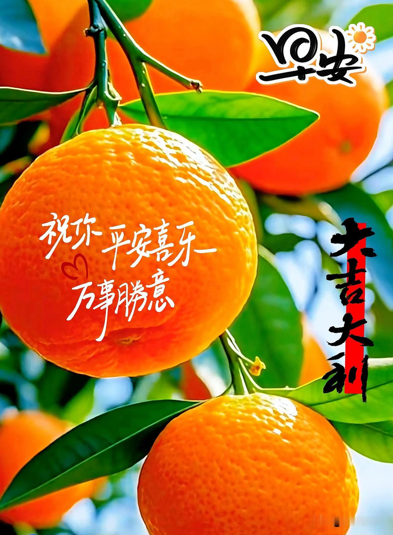 橙香迎晓，愿日子称心如意，大吉大利，早安！