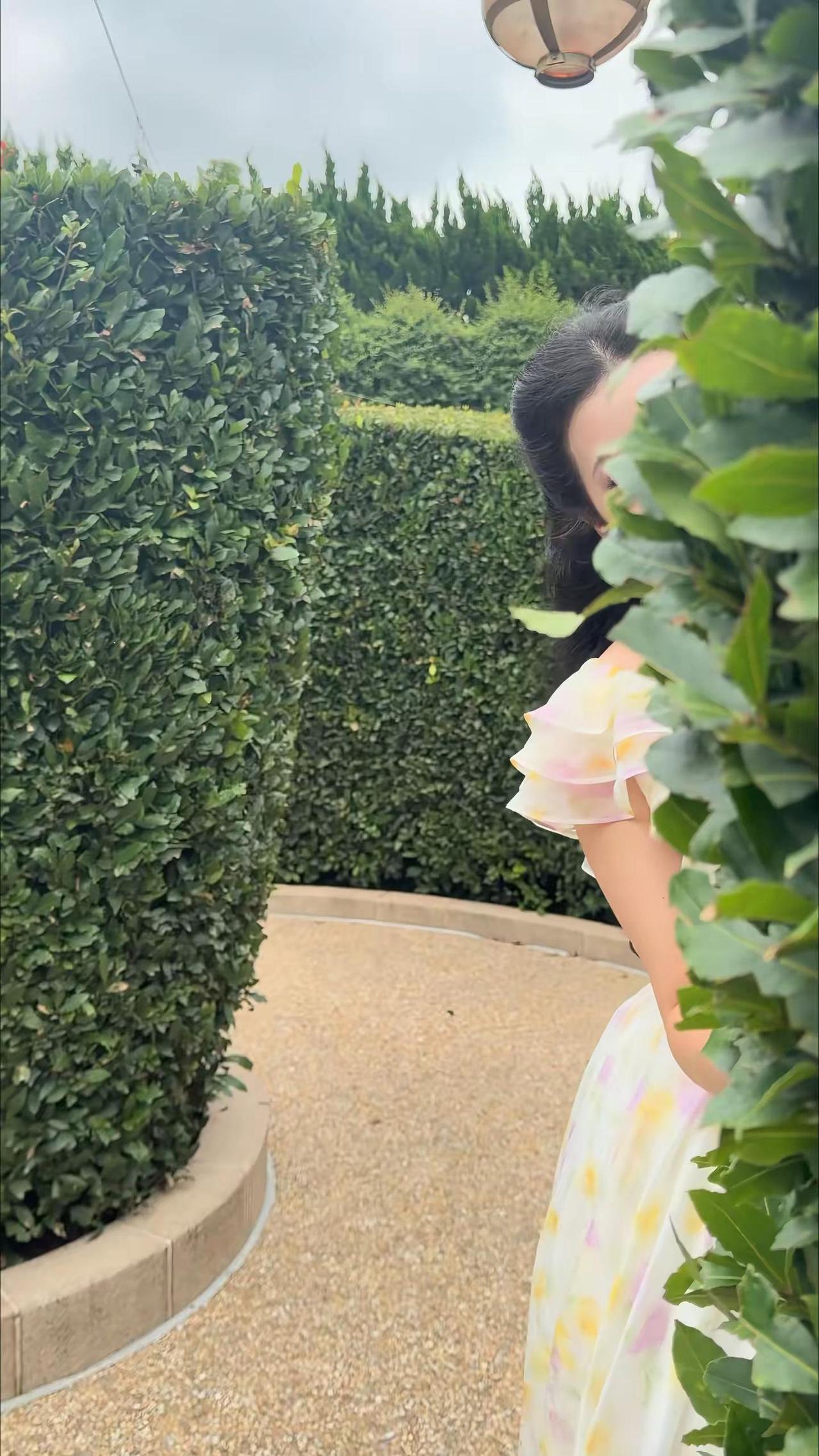 亲爱的瓦妮达小姐如今我也到了你那时的年纪 瓦妮达
