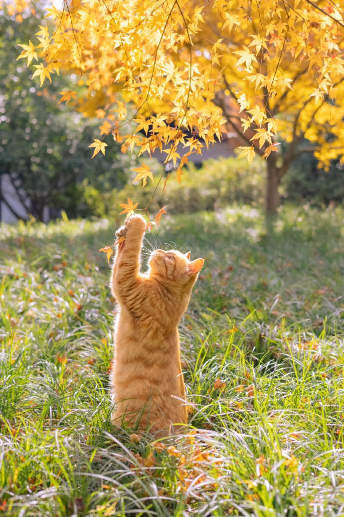 一个建议：用你那精神内耗的态度去搞学习搞事业搞钱，然后用躺平和摆烂的态度对待人际