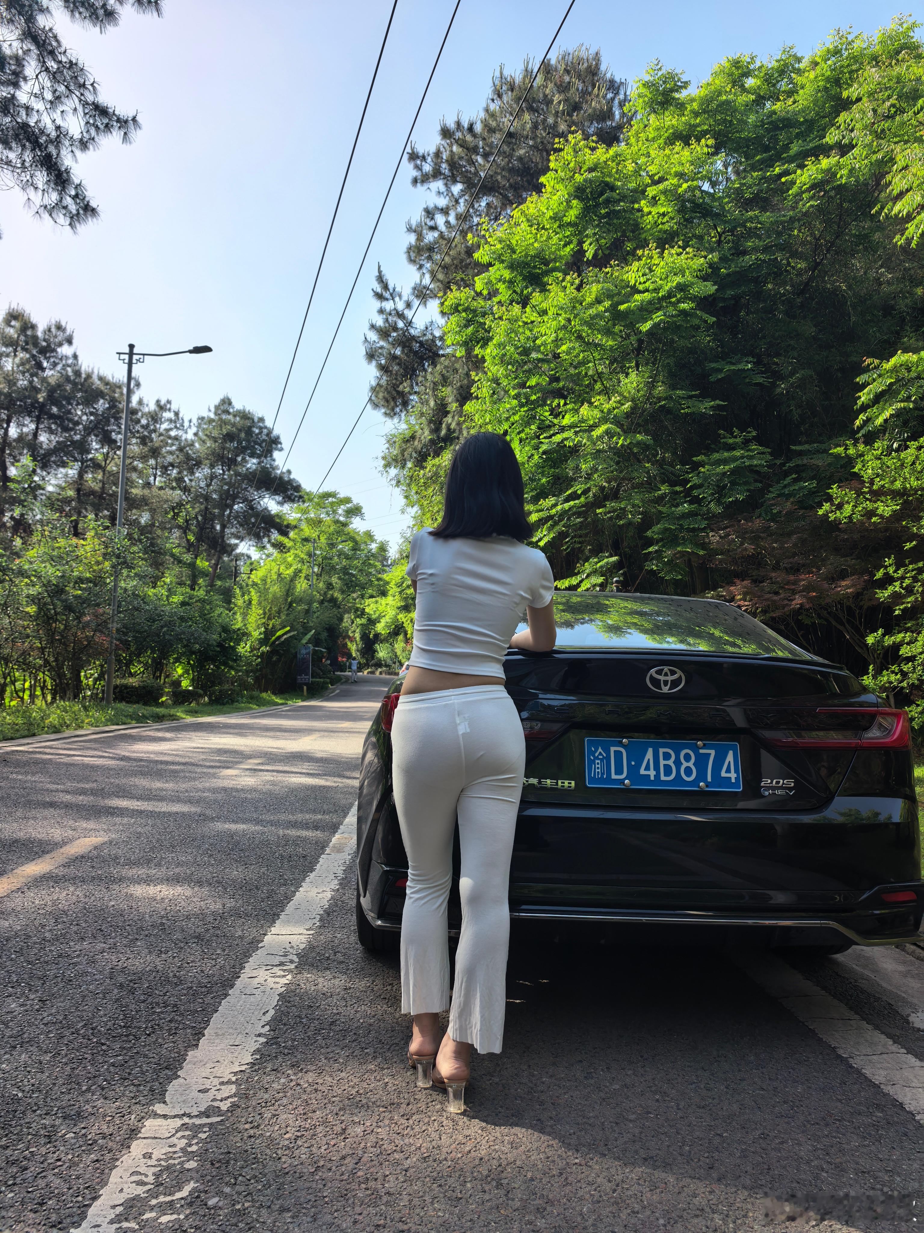 喜欢丰田的妹子 