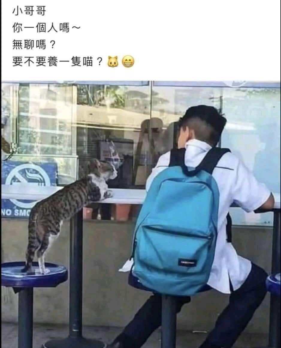 我养你啊
搞笑 此图有梗