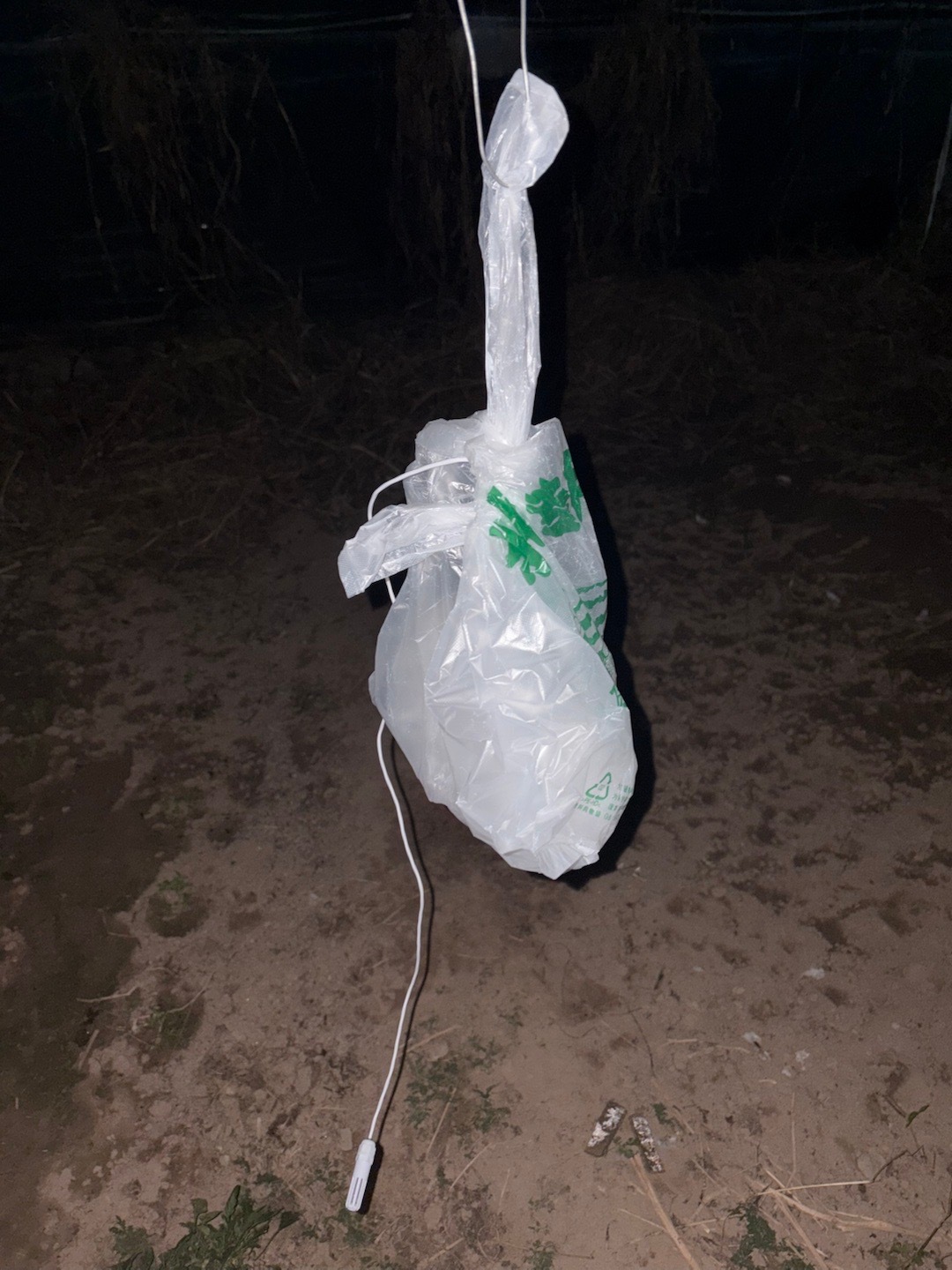 最近不经常来发了。因为我最近太忙了。看新闻的时间不够。白天，我上班，没时间看手机