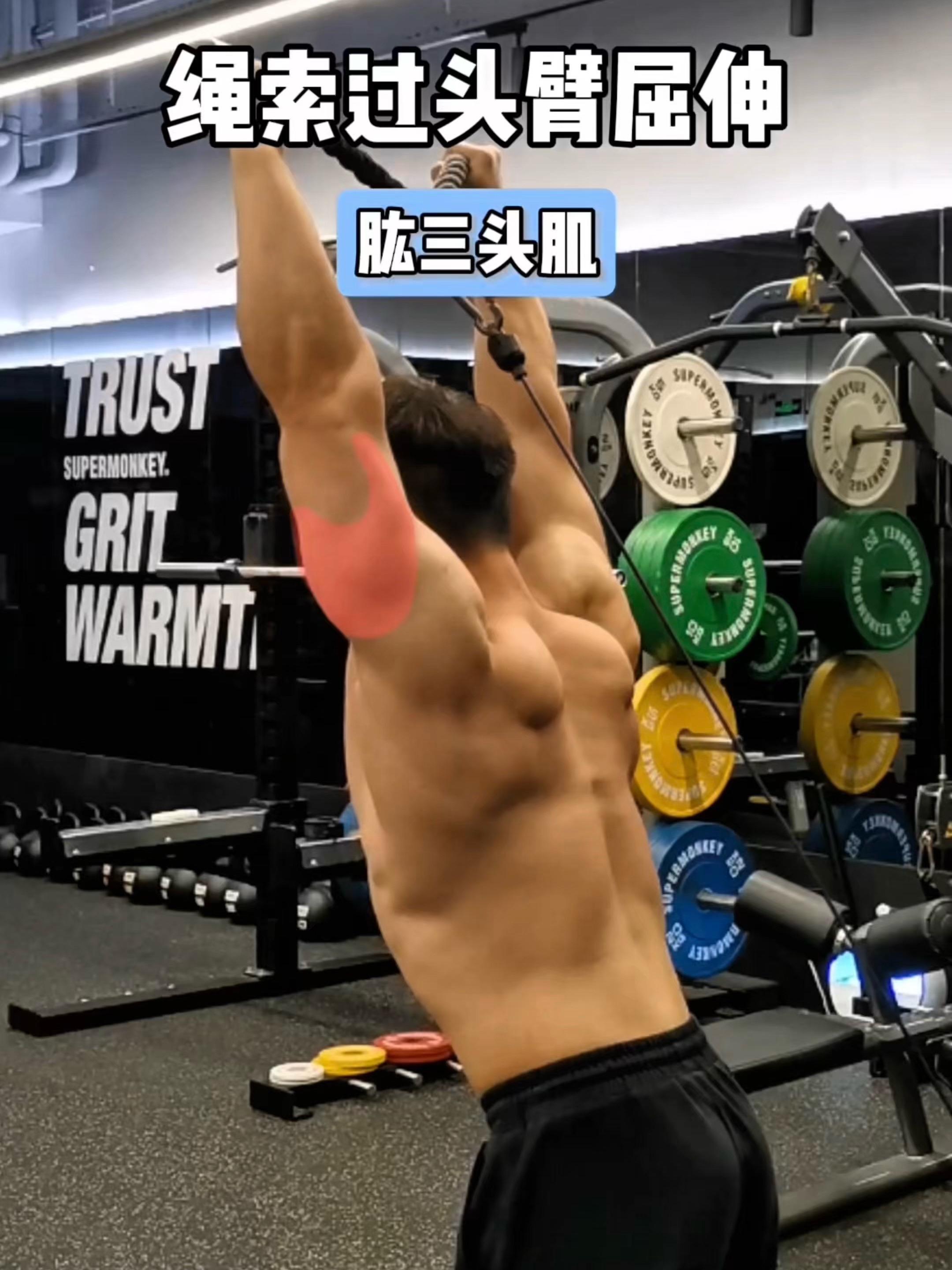 绳索过头臂屈伸，保姆级教程！ 一、目标肌群 绳索过头臂屈伸，肱三头肌 ...