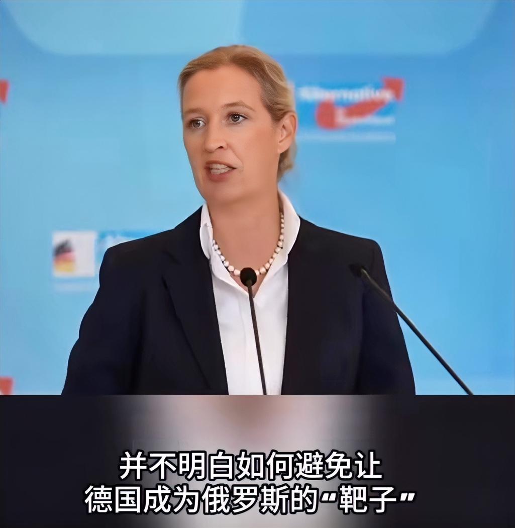 10月7号，德国选择党联合主席魏德尔公开批评默茨。她说，默茨正在把德国变成俄罗斯