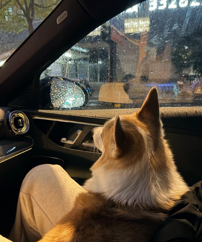 上海一下雨开车简直太痛苦了！从买衣服的店磨蹭回家，整整开了两个小时。堵在路上动都