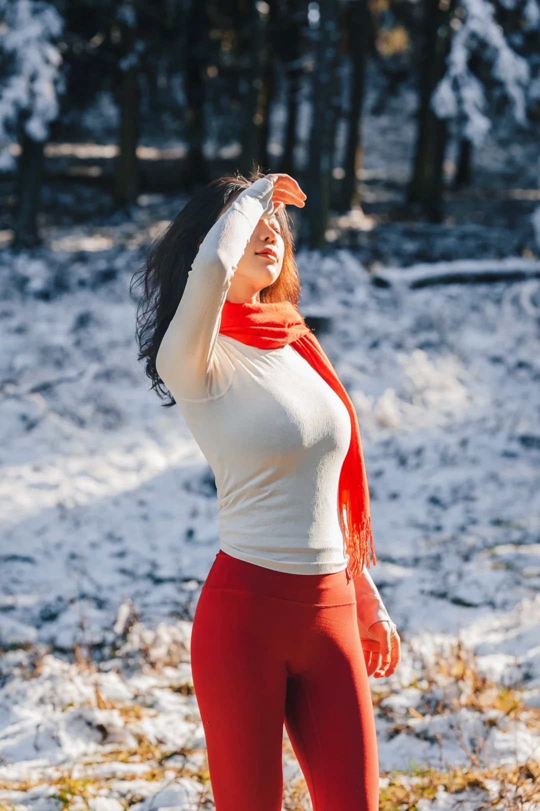 雪花、阳光、和圣诞🎄