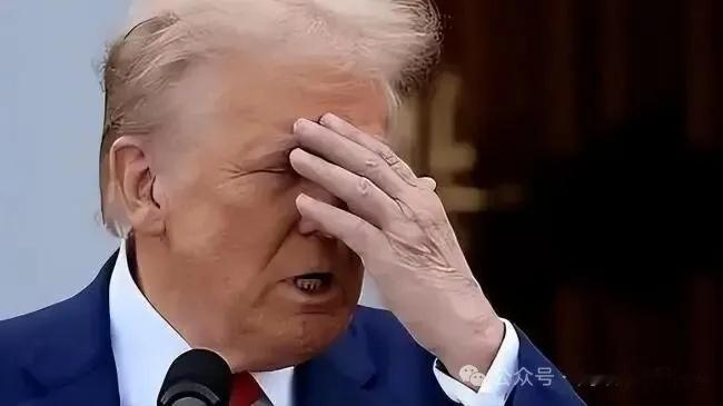 美伊谈判未达成协议中东局势 这场战争早已超出特朗普在开战前的计划范围之外，我完全