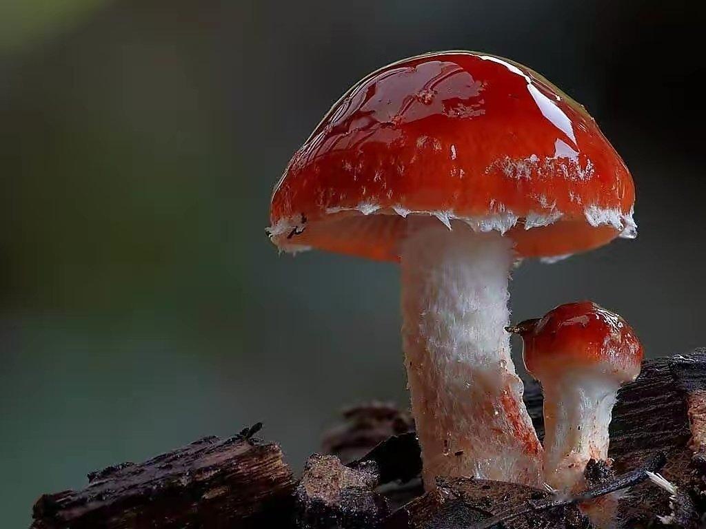 每日一善[超话]  [太阳]善良，有时，它是风雨中悄然为你撑开的一把伞;有时，它