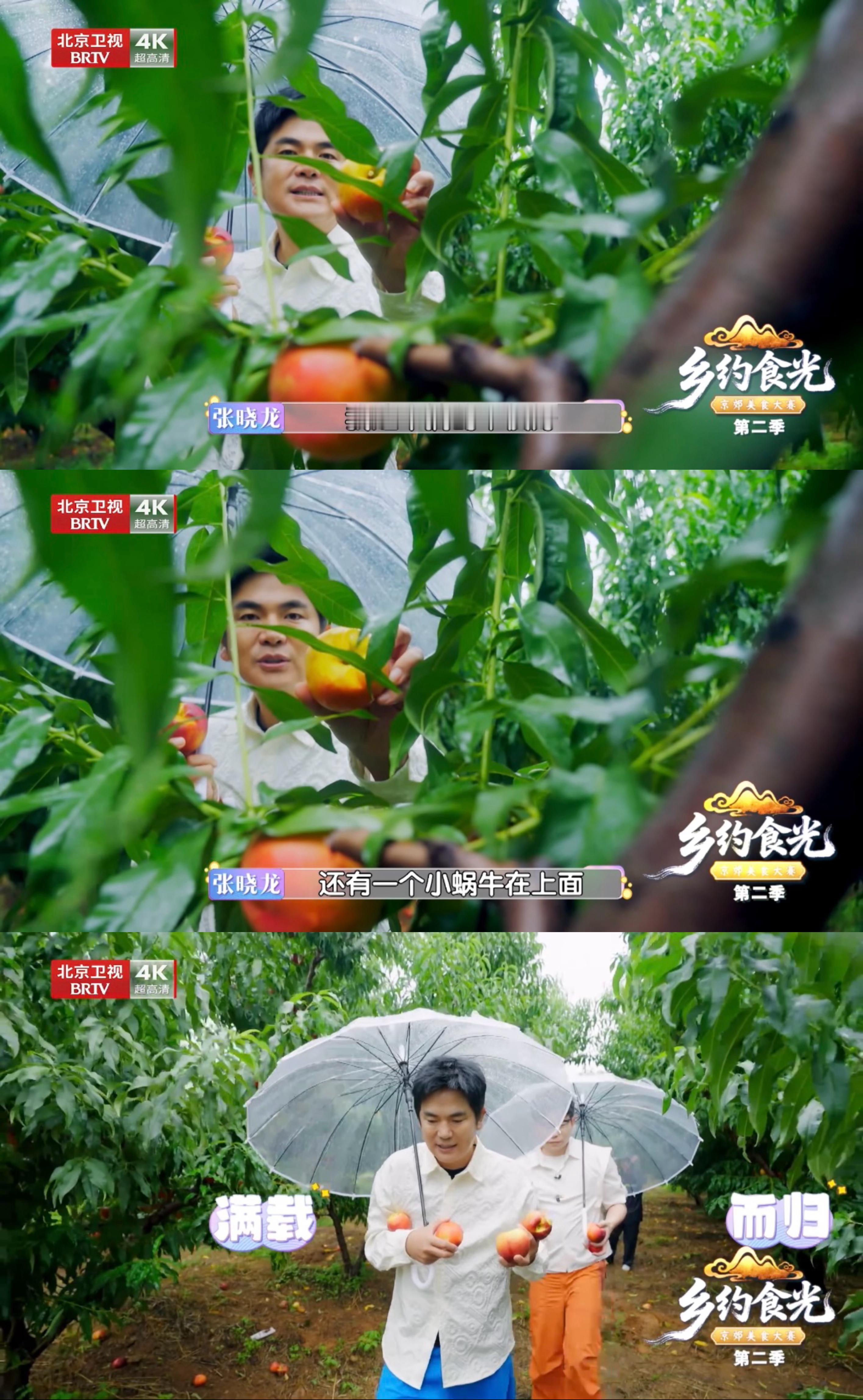 张晓龙说自己是种地吧老年版 张晓龙给自己安排好退休再就业🤣 ！《乡约食光》平谷
