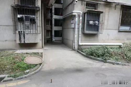 高龄养老的问题可能是不久的将来的一个大问题。
北大老校长蒋梦麟的三个儿子都没有追