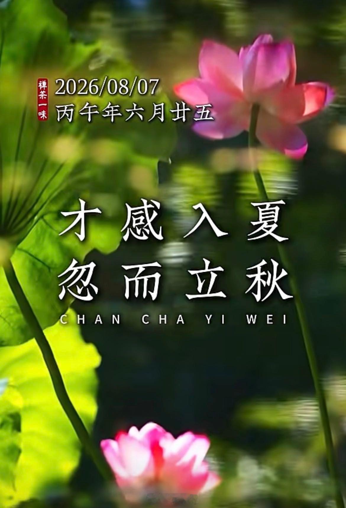 微博云祈福祈福2026华严宗祖庭西安华严寺 拾一片黄叶，藏一页岁月。不念过往，不