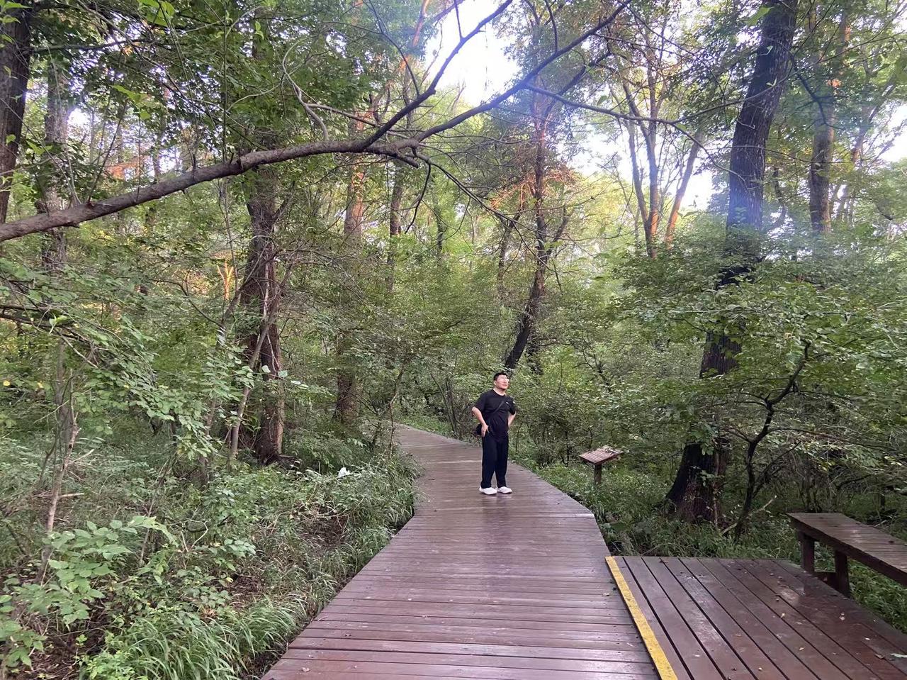 妻子说要出去和我旅游，要去内蒙古乌拉盖大草原，总共四天。团费才三百六十元。我说那