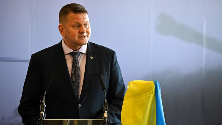 泽连斯基将在选举中输给其前最高将领

周三公布的一项社会调查显示，乌克兰领导人泽