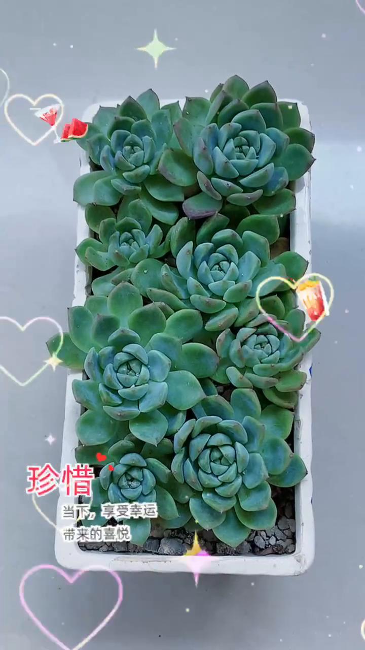 珍惜当下，享受幸运带来的喜悦。
做人最大的底气是人品端正，内心纯粹，心事坦荡。无