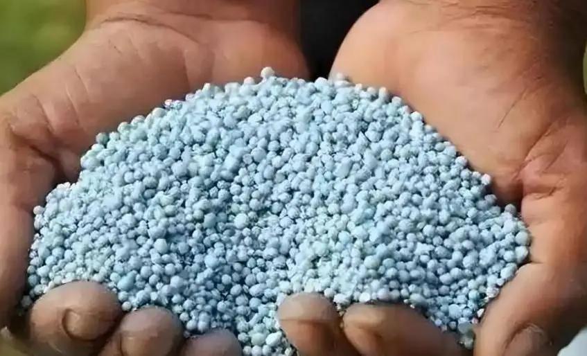 印度花'天价抢 250 万吨尿素，被割韭菜了吗？

印度这次一口气进口250 万
