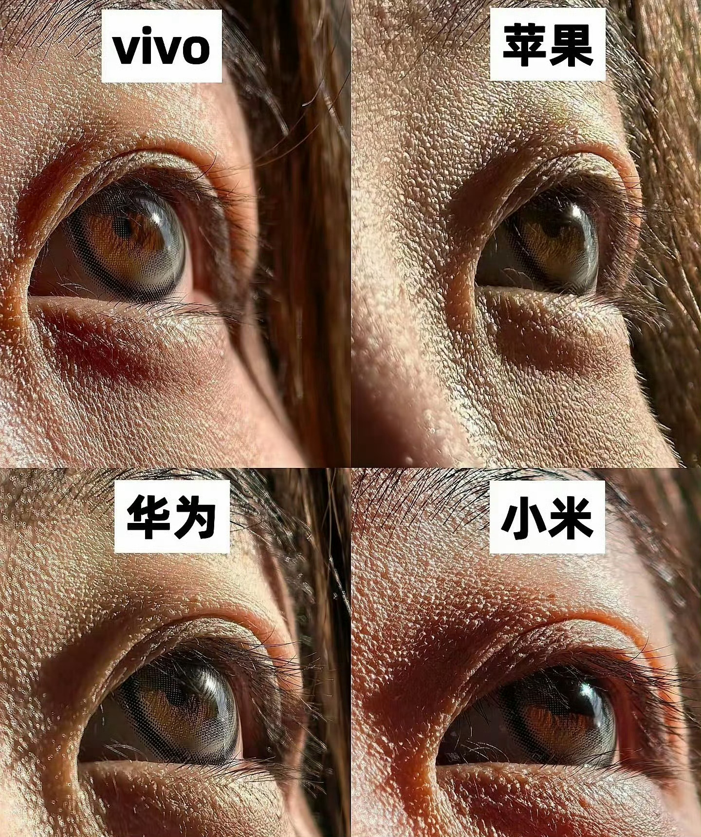 你更喜欢哪个 