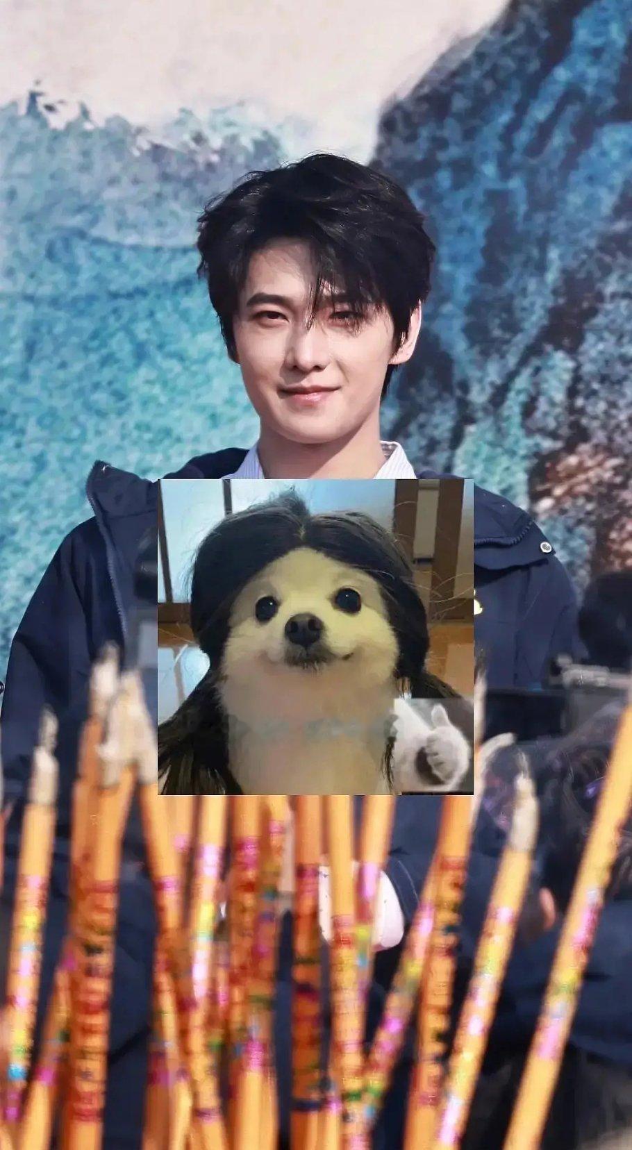 杨洋这个状态真的可以啊，很年轻 