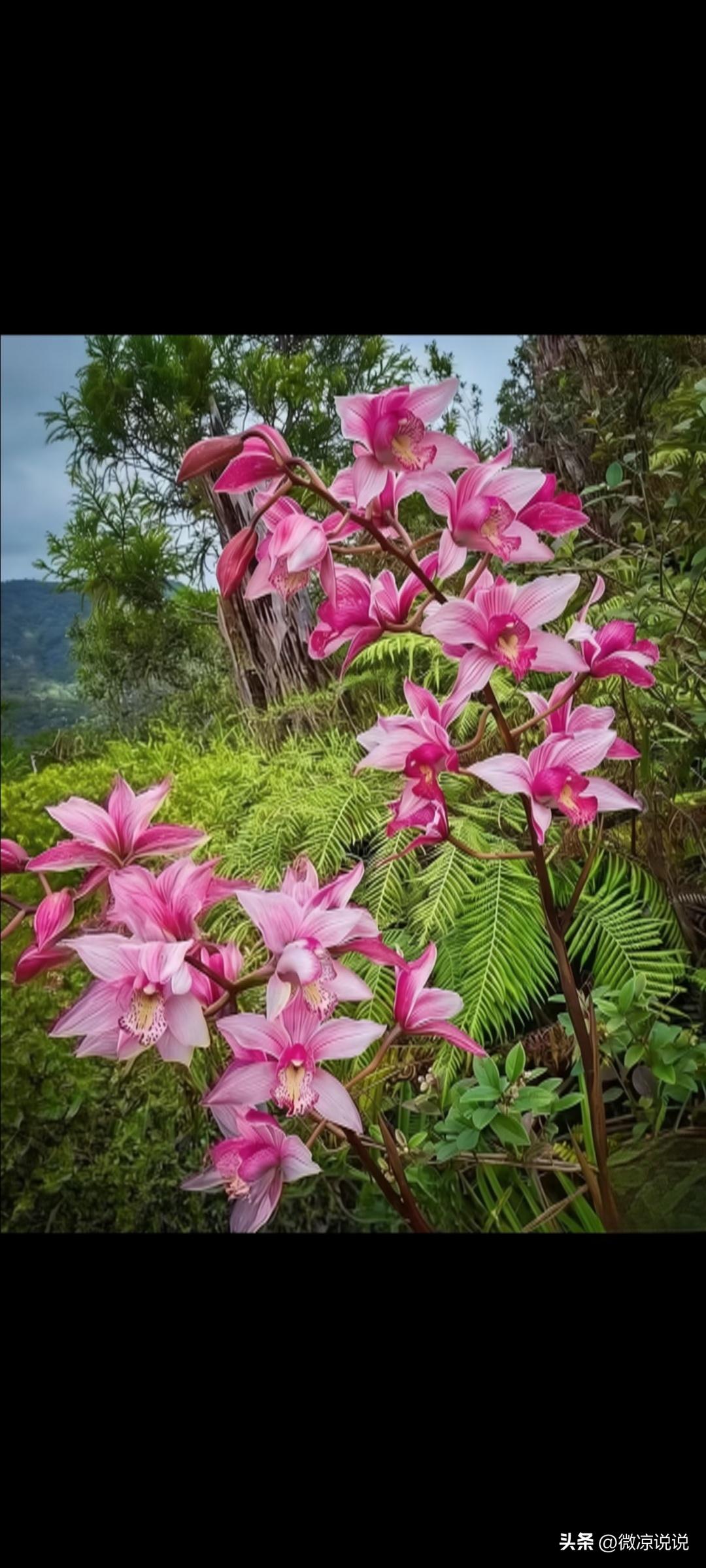 网上流行的一段话：

“人对性生活的渴望，从来不是低俗的放纵，

而是刻在骨子里