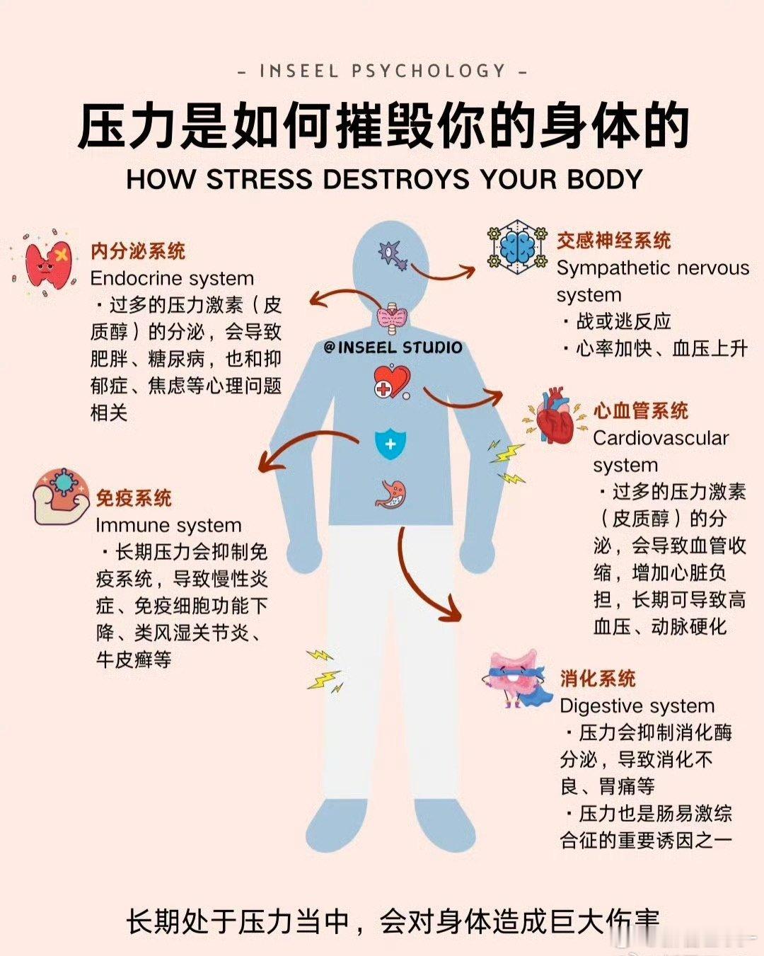 压力是如何摧毁你的身体的？ ​​​
