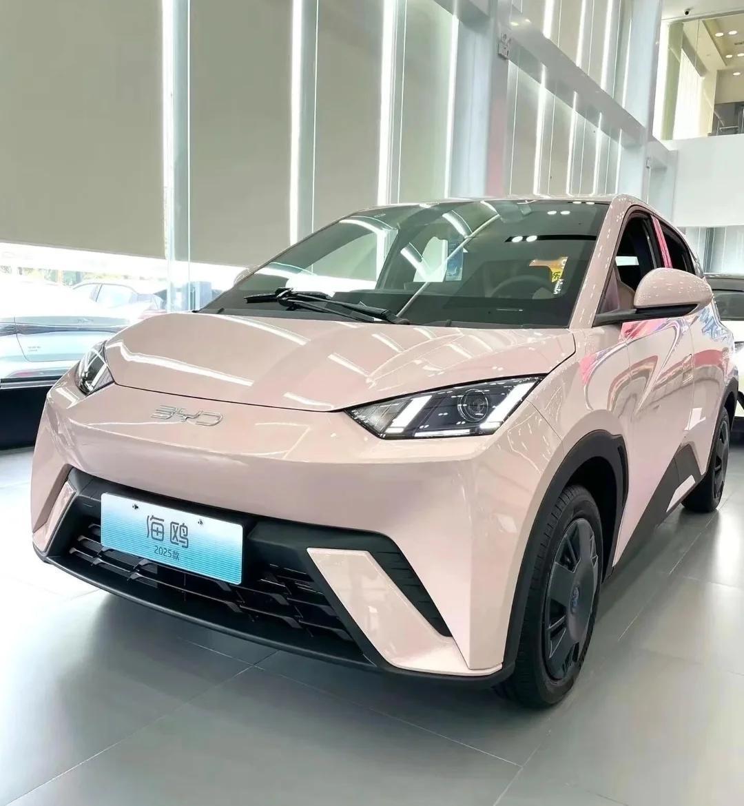 2025年热销车型：比亚迪海鸥，实现310956辆销量