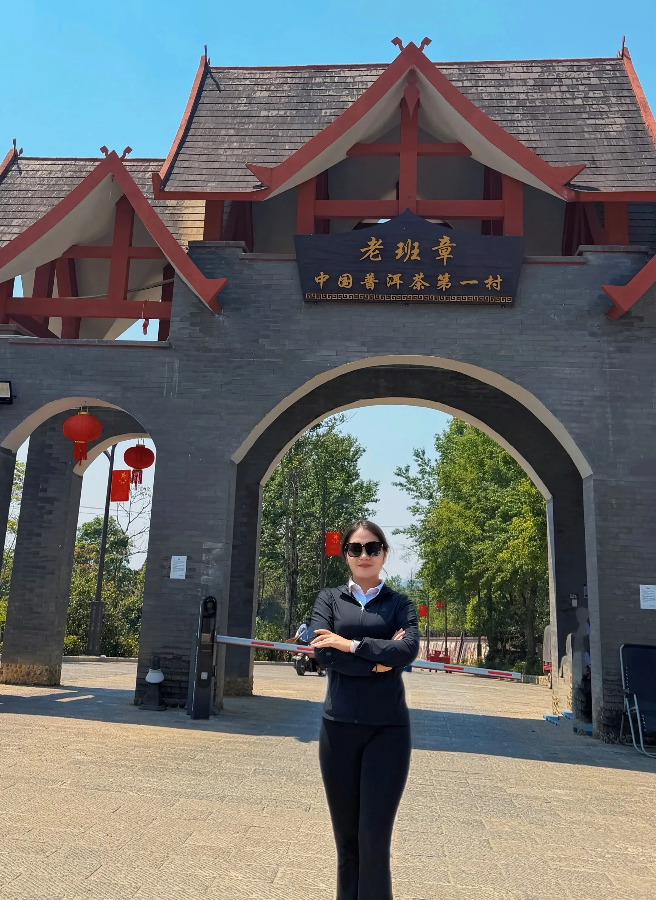 苦尽甘来是人生，亦是老班章。