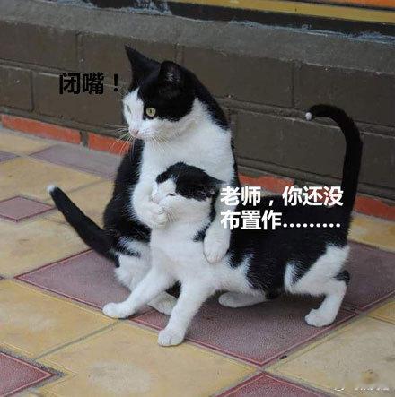 老师你还没布置作业呢 